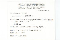 紅花野牽牛藏品圖，第2張