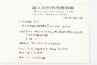 狗娃花藏品圖，第2張