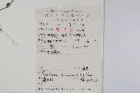 爵床、六角英藏品圖，第2張