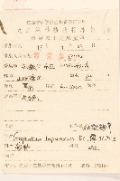 秋鼠麴草藏品圖，第2張