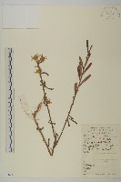 登錄號:S051671藏品圖，第1張