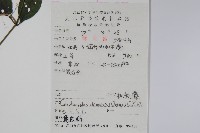 杜根藤藏品圖，第2張