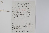 少花馬藍藏品圖，第2張