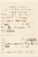 父子草、天青地白藏品圖，第2張