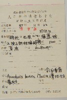 乳白香青藏品圖，第2張