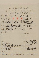 小舌紫菀藏品圖，第2張