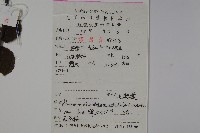 廬山莢迷藏品圖，第2張