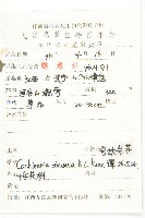 灣缺岩薺藏品圖，第2張