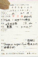 胡頹子藏品圖，第2張