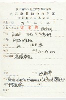 鼠耳芥藏品圖，第2張