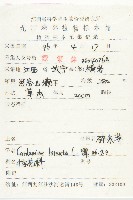 碎米薺藏品圖，第2張