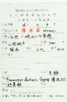 冬桃藏品圖，第2張