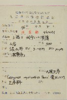 大果衛矛藏品圖，第2張