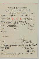 寬傘三褶葉紫菀藏品圖，第2張