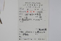 刻脈冬青藏品圖，第2張