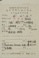 中國衛矛藏品圖，第2張