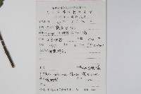 三葉毛柄槭藏品圖，第2張