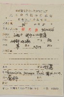 牡蒿藏品圖，第2張