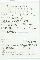 光皮樹藏品圖，第2張