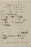 大狼把草藏品圖，第2張