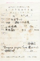 胡頹子藏品圖，第2張