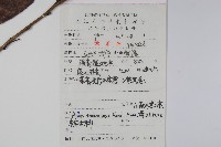 江南榿木藏品圖，第2張