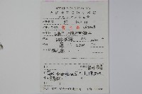 厚葉冬青藏品圖，第2張
