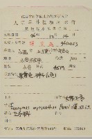 大果衛矛藏品圖，第2張