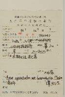 三脈紫菀異葉變種藏品圖，第2張