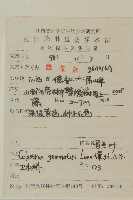 哥蘭葉藏品圖，第2張