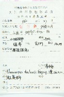 冬桃藏品圖，第2張