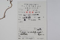 羊乳、四葉參藏品圖，第2張