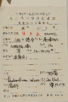 油菊、野菊藏品圖，第2張