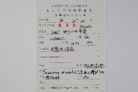 東方野扇花藏品圖，第2張