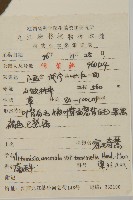 密毛奇蒿藏品圖，第2張