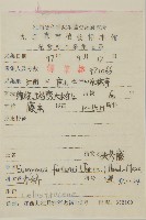 扶芳藤藏品圖，第2張