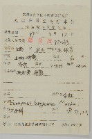 白杜藏品圖，第2張