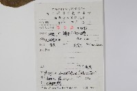 八角楓、瓜木藏品圖，第2張