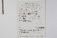 毛花楊桃藏品圖，第2張