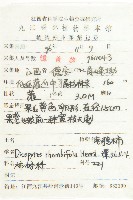 菱葉柿藏品圖，第2張