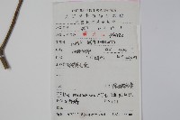 刻脈冬青藏品圖，第2張