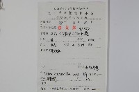 中型冬青藏品圖，第2張