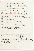 木半夏藏品圖，第2張