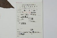 冬青藏品圖，第2張