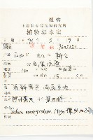 凹葉景天藏品圖，第2張