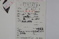 呂宋莢迷藏品圖，第2張