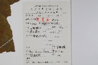 青榨槭藏品圖，第2張