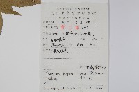 大穗鵝耳櫪藏品圖，第2張