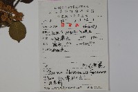 廬山莢迷藏品圖，第2張