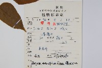 八角楓、瓜木藏品圖，第2張